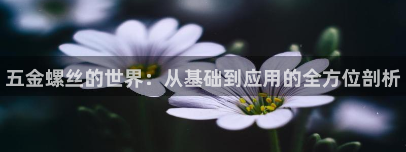 天狮娱乐年