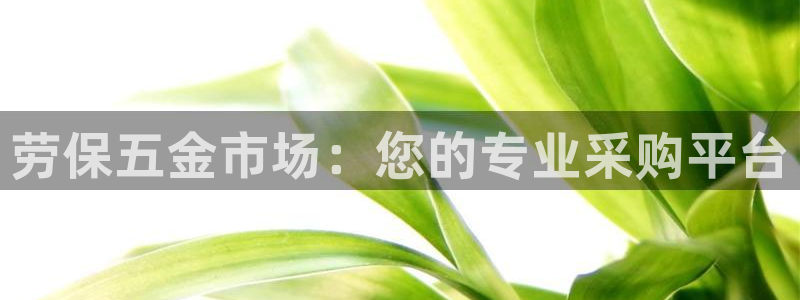 天狮娱乐注册登陆