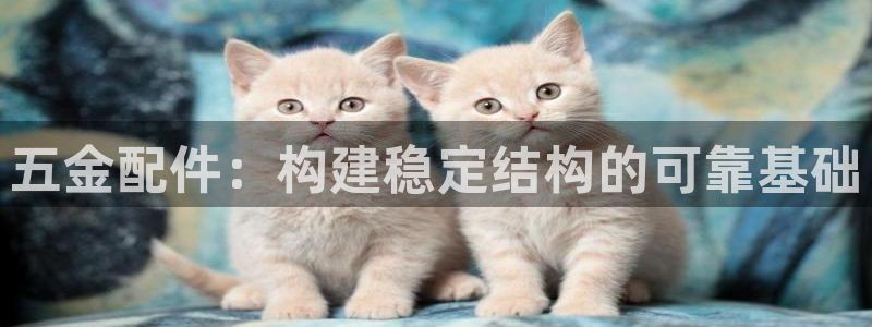 天狮娱乐卧j主管60447