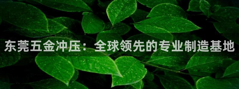 天狮娱乐股东36633
