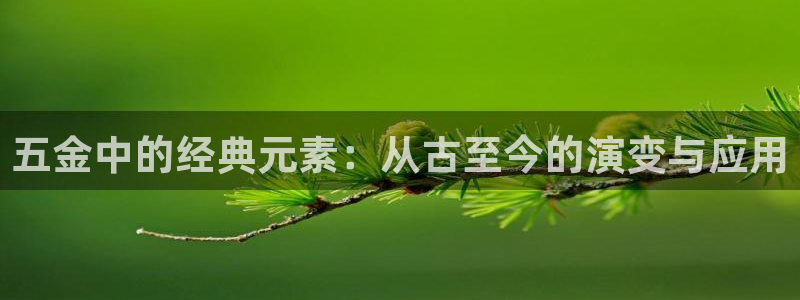 天狮娱乐-扣 股东
