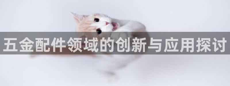 天狮娱乐主管汽车之家