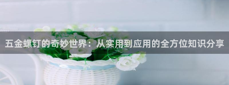 天狮娱乐股东39869