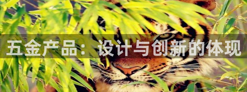 天狮娱乐嘉扣 o