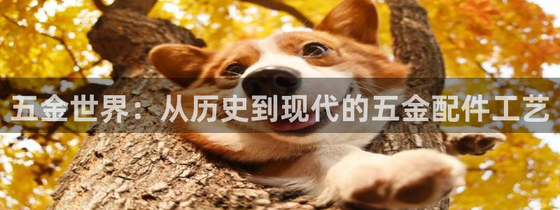 天狮娱乐授权