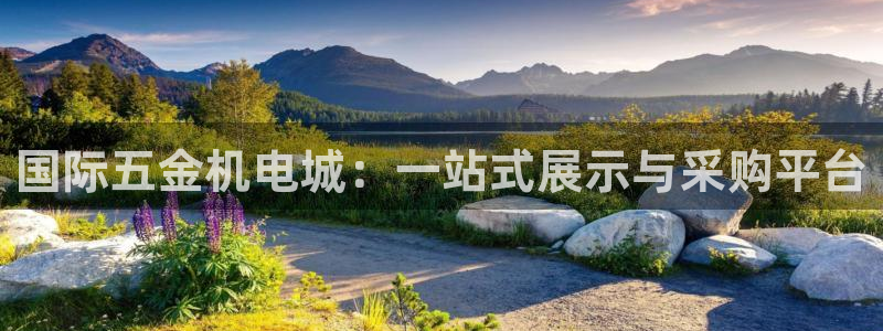 天狮娱乐谁在玩
