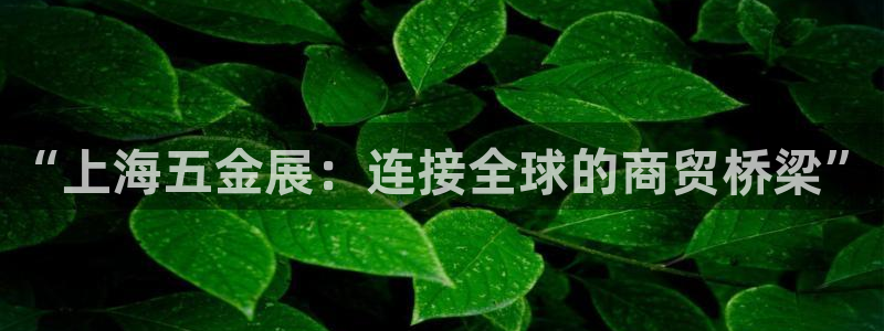 天狮娱乐真的假的