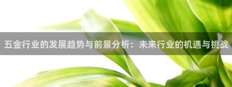 天狮娱乐- 0 招a商