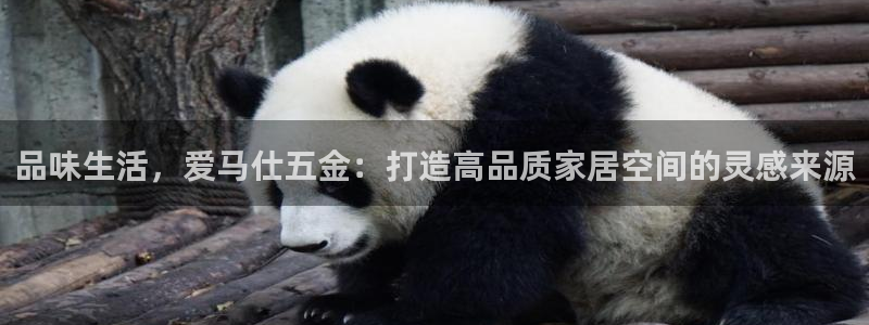 天狮娱乐60447股东