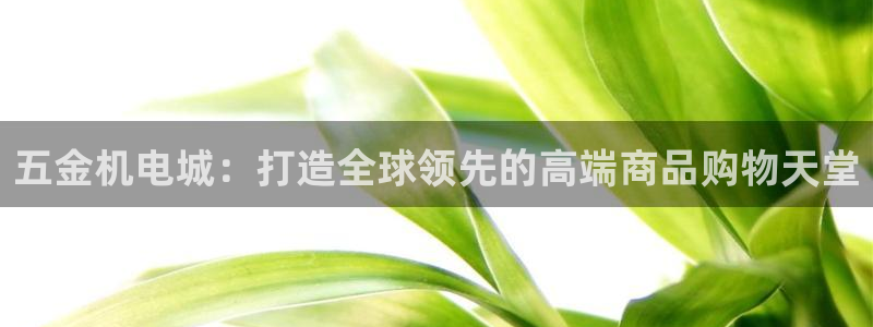天狮娱乐股东29229