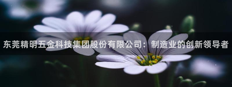 天狮娱乐 a招商60447