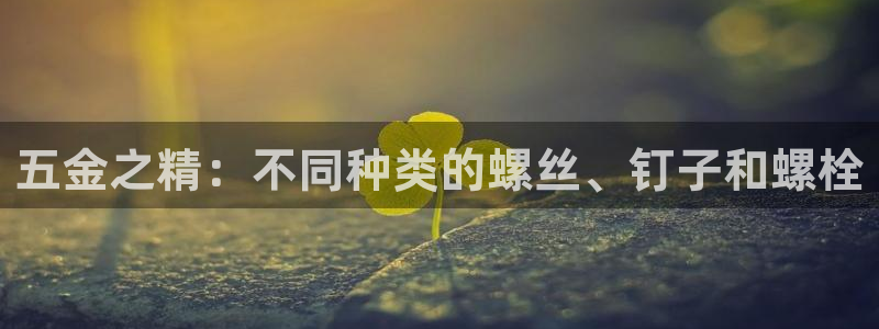 天狮娱乐p实 权