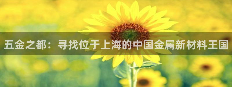 天狮娱乐 卧j招商60447