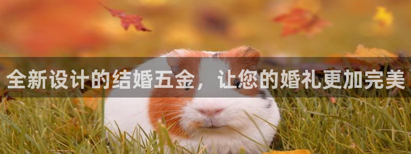 天狮娱乐客服电话