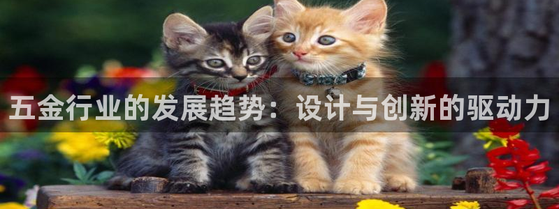 鸿图娱乐下载天狮