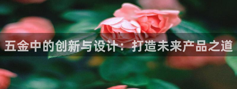 天狮娱乐优惠