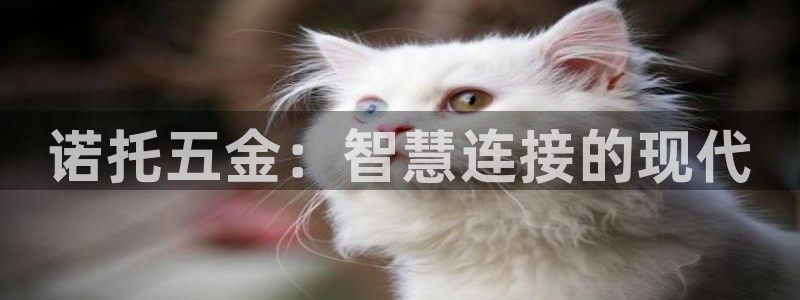 天狮娱乐彩票客服电话