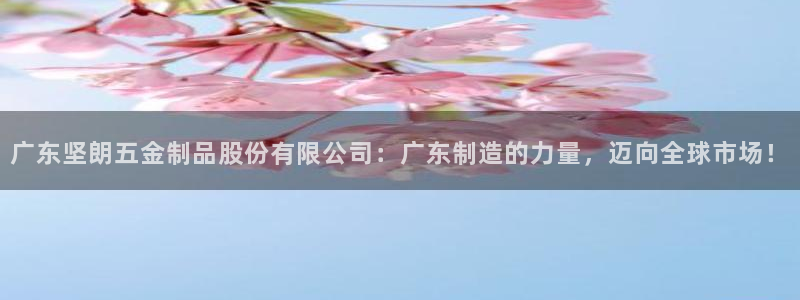 天狮娱乐主招商
