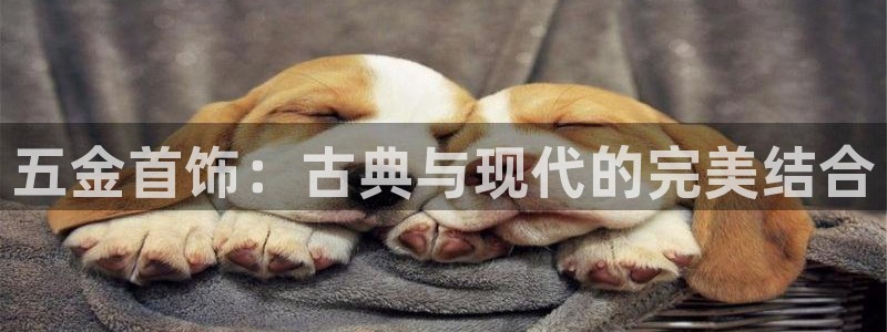 天狮娱乐i股t东64681