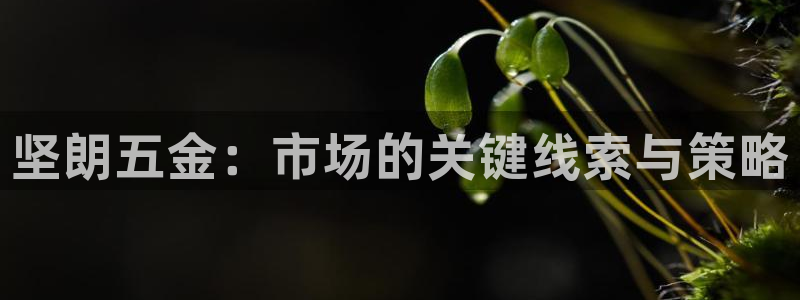 做天狮娱乐代理犯法吗