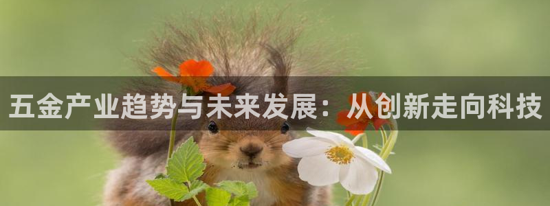 天狮娱乐- 0 招a商