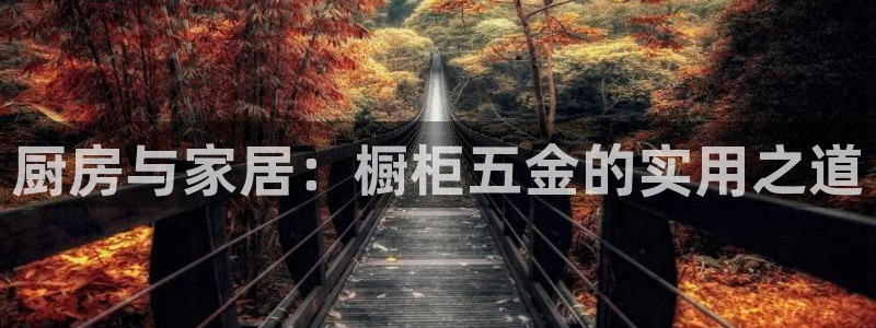 天狮娱乐平台招商