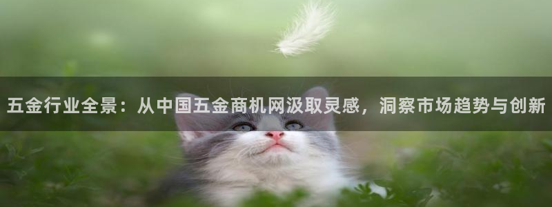 天狮娱乐电脑版