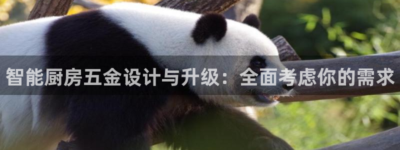 天狮娱乐怎样玩