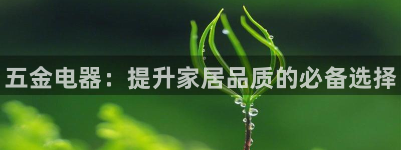 天狮国际娱乐平台