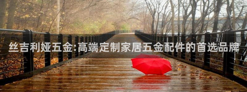 天狮娱乐用户名怎么起