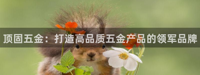 天狮娱乐主管汽车之家