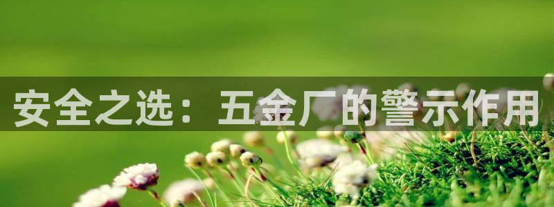 天狮娱乐用户名怎么起