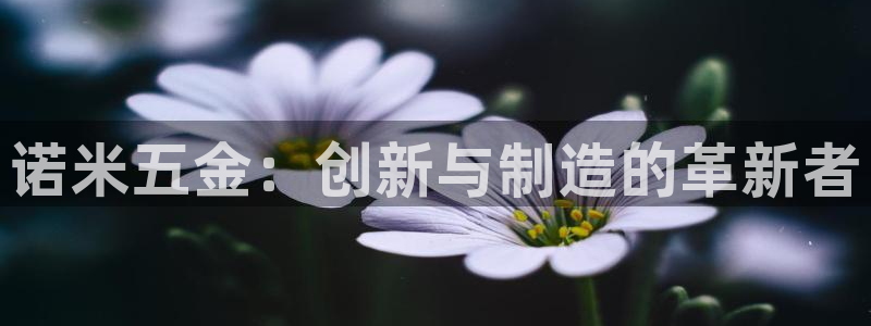 天狮娱乐负责人