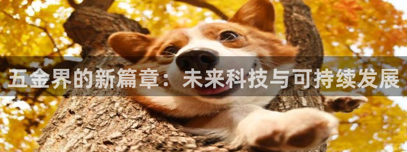 天狮娱乐 amp u招商35980