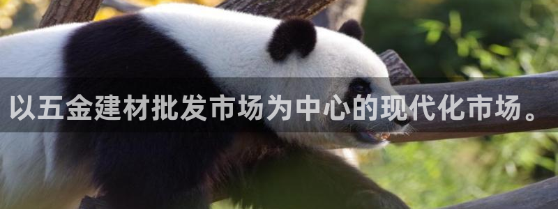 天狮娱乐待遇怎么样