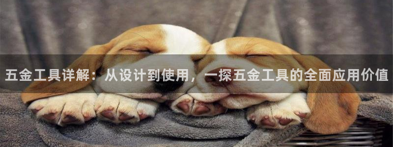 天狮娱乐是不是赌博