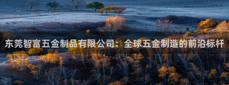 天狮娱乐官方代理