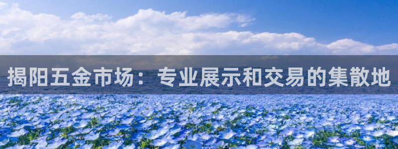 天狮娱乐 a主管60447