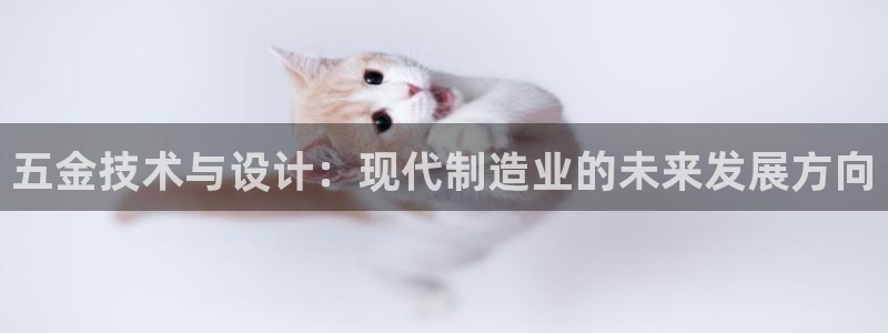 天狮娱乐怎样下载