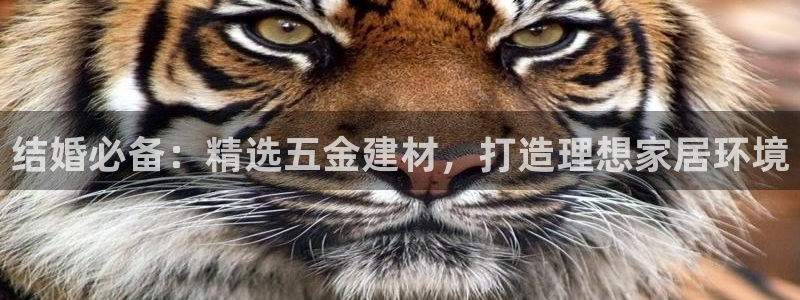 天狮娱乐招商36633