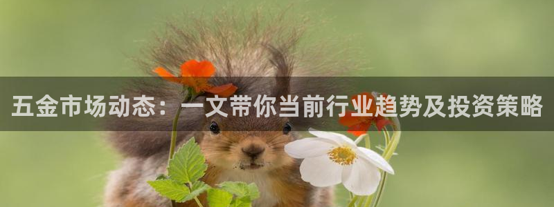 天狮娱乐官方代理