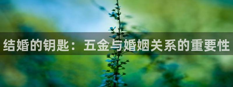 天狮娱乐代理最高多少钱