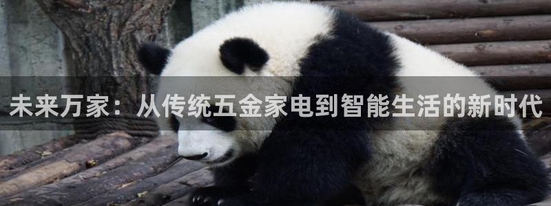 天狮娱乐代理怎么做