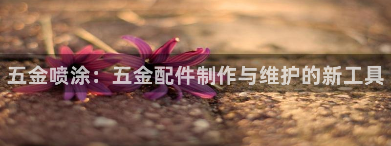 天狮娱乐 23976实z力