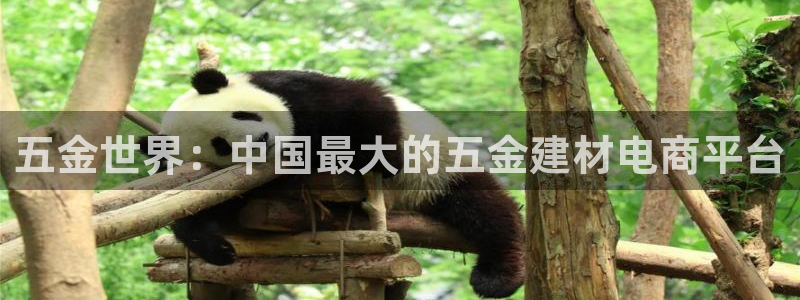 天狮娱乐招商87277