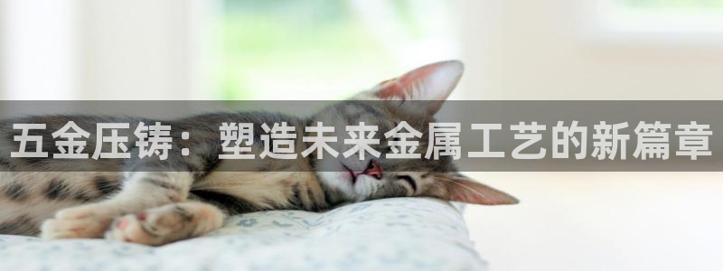 天狮娱乐p实 权