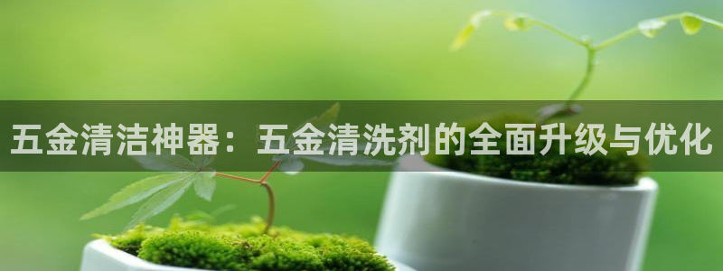 天狮娱乐 m.hbzhedu.cn