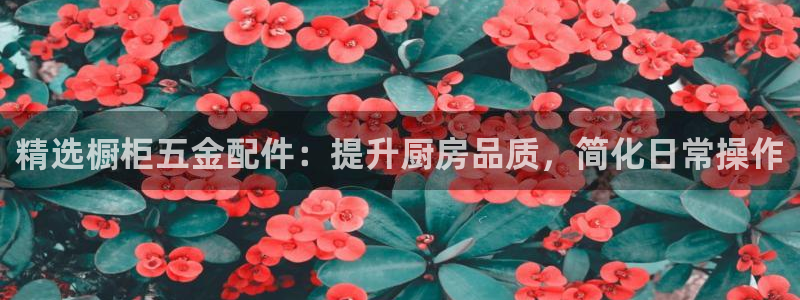 天狮娱乐怎么玩法