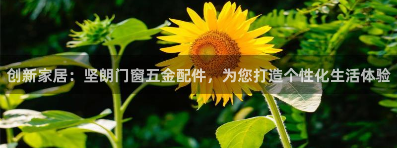 天狮娱乐p实 权