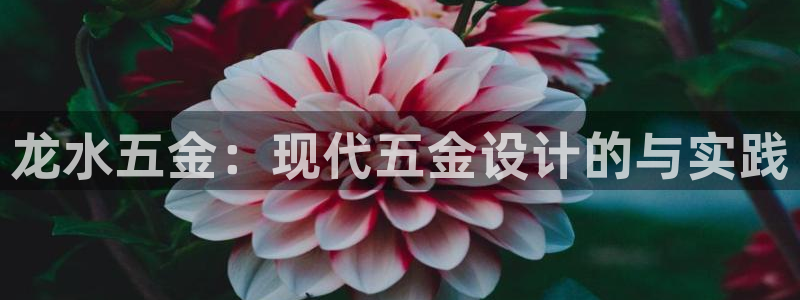 天狮娱乐平台招商